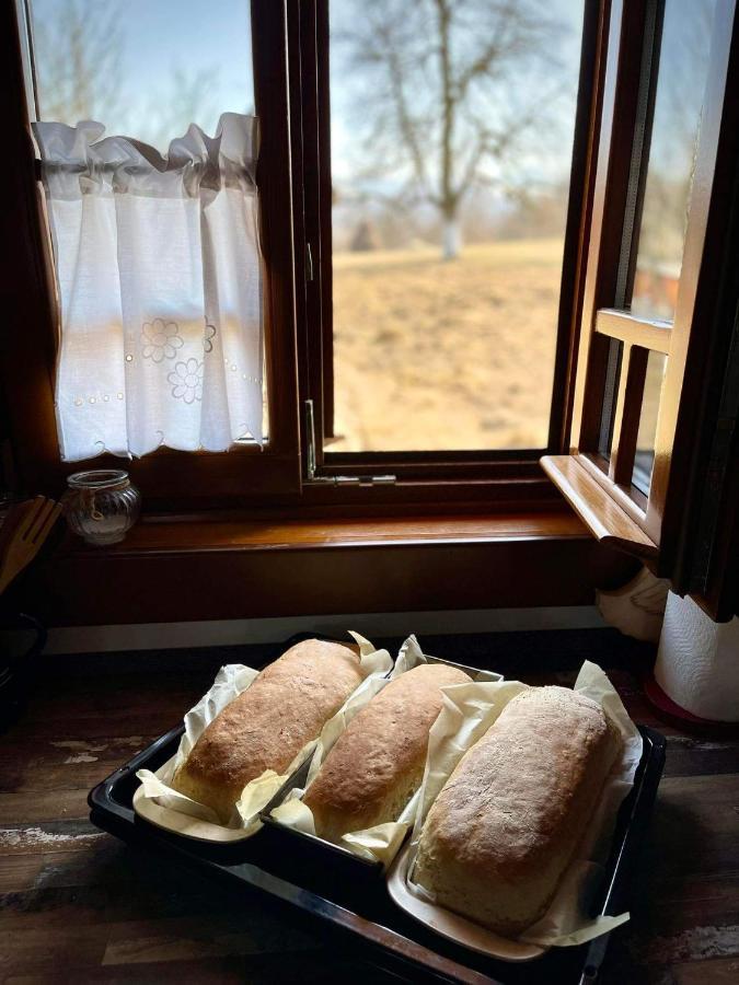 Pensiunea Agroturistica Casa Pribegilor Breb Bagian luar foto